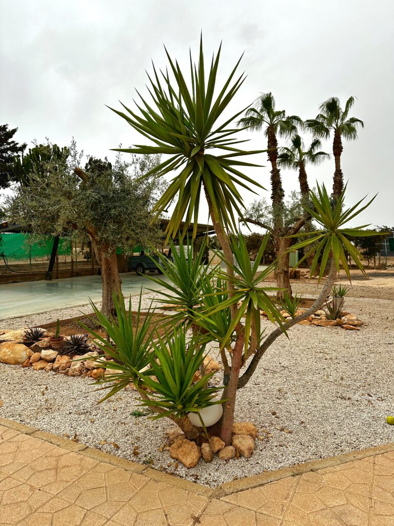 La Yuca de Colores, alojamiento rural a cinco minutos de la playa